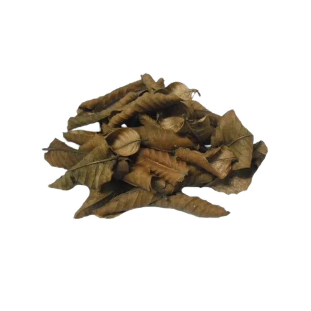 Folha de Goiaba 1KG
