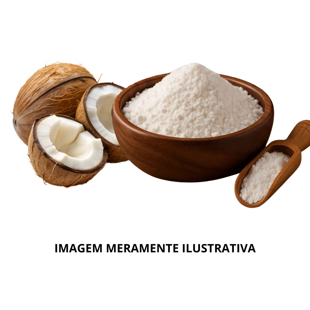 Leite de Coco em Pó KG