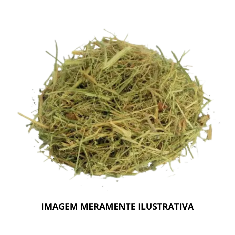 Melão de São Caetano KG