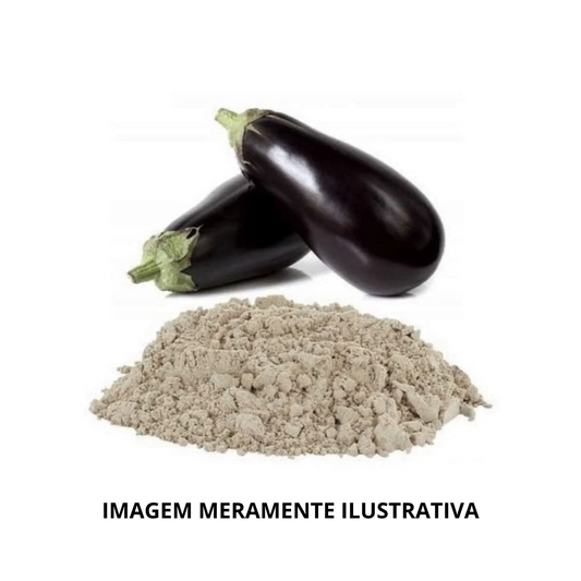 Farinha de Berinjela KG