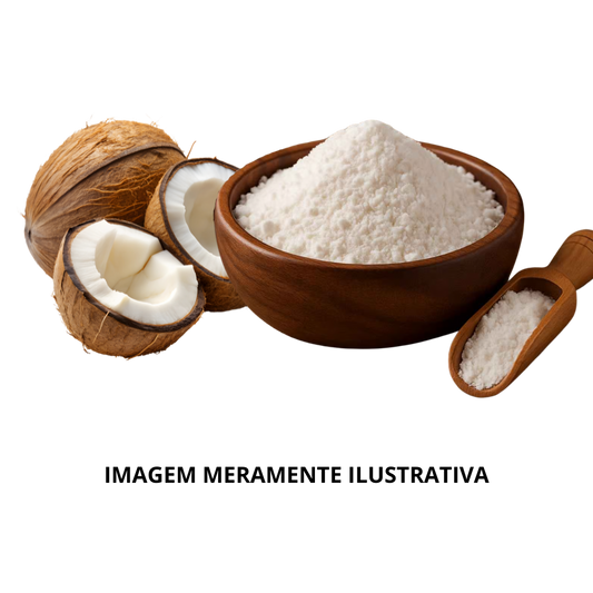 Leite de Coco em Pó KG