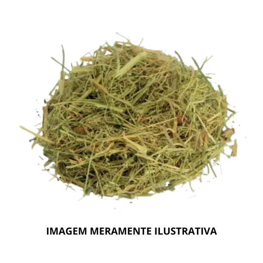 Melão de São Caetano KG